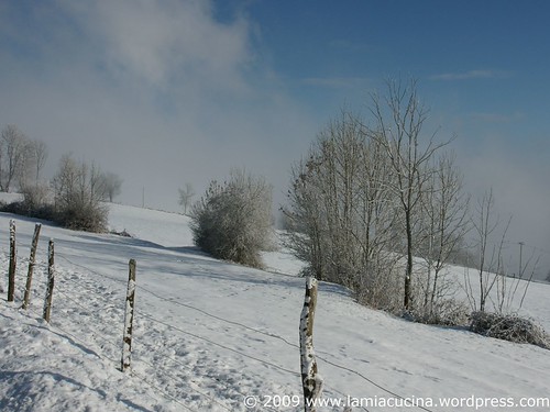 ImJura 00_2009 01 15_7695