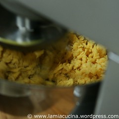Teig 2_2010 05 15_6885