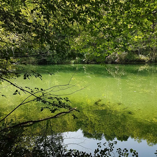 Doubs(13) Loue 20170829_144507