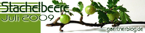 Garten-Koch-Event