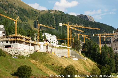 CH-7504 Pontresina  0_2010 09 05_9599