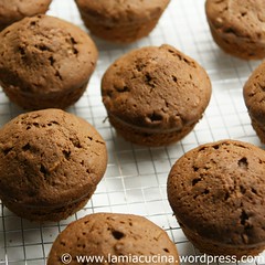 Ovo-Muffins 0_2010 05 02_6659