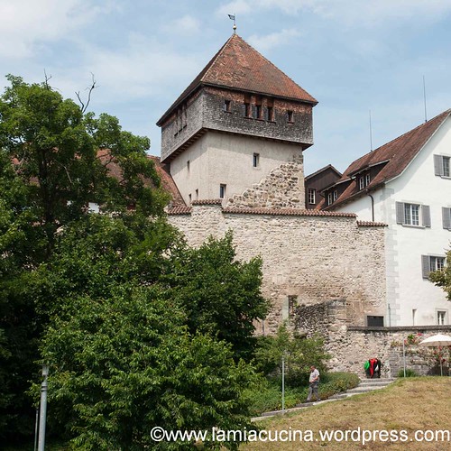 CH-8253 Diessenhofen 2013 07 09_0894