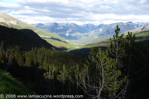 Blick zurück ins Münstertal und auf die ferne Ortlergruppe