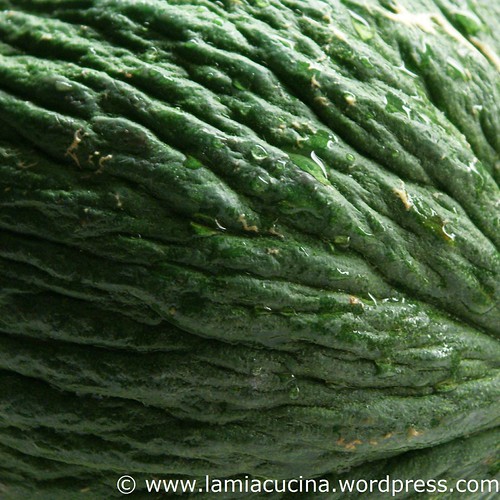 Melone purceddu 0_2009 11 10_3637