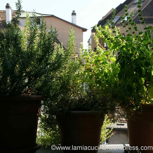 Küchenausblick 2012 08 22_6908