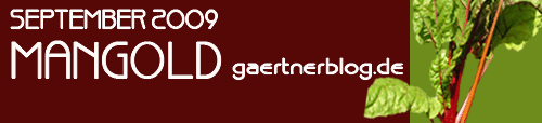 Garten-Koch-Event