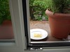 Katzenravioli