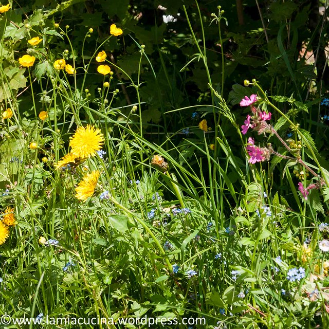Im Jura 2014 05 19_4054