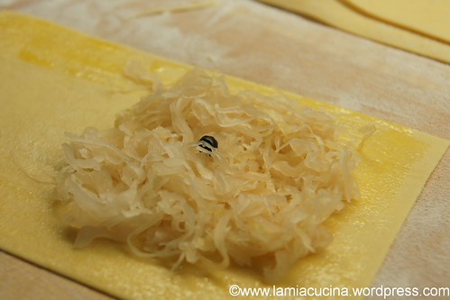 Kraut-Lasagnette 2_2011 12 16_1967