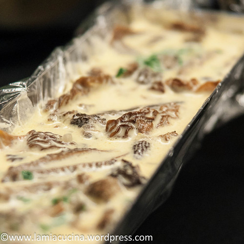 Morchelterrine 2014 10 18_6134