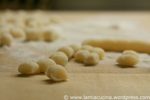 Gnocchi sciuè sciuè 0_2010 11 20_0852