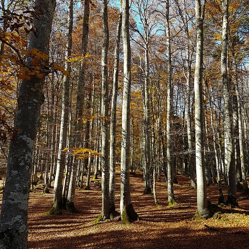 Herbst 20171014_150311