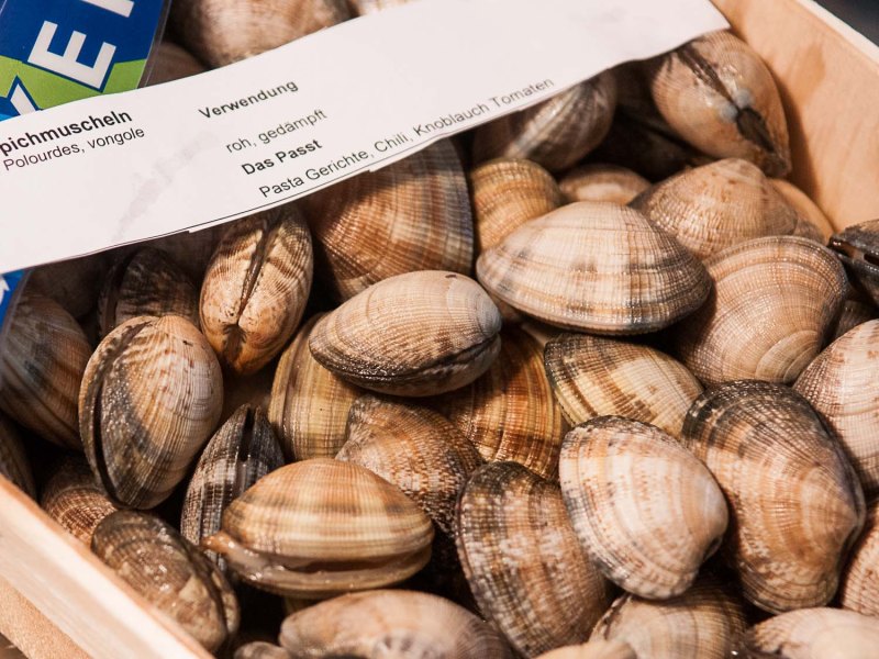 Meeresfrüchtekurs