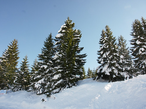 Jurabogen 2013 19 Feb_9714