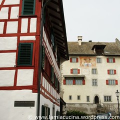 CH-8606 Greifensee 1_2010 03 10_5609