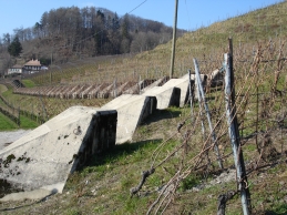 Rebberg bei Aubonne