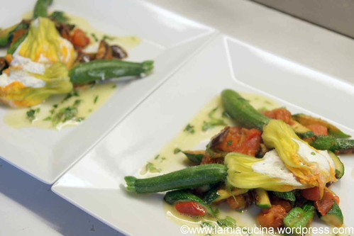 Zucchiniblüte 2_2012 08 05_6461