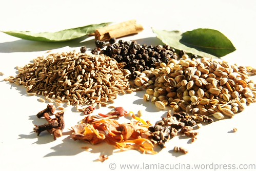 Garam Masala 0_2011 02 07_2254
