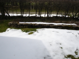 Mein Winter Garten