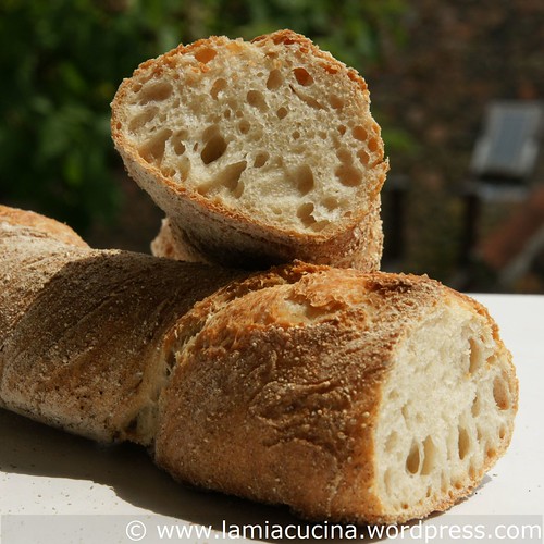 Wurzelbrot 0_2009 06 20_0875