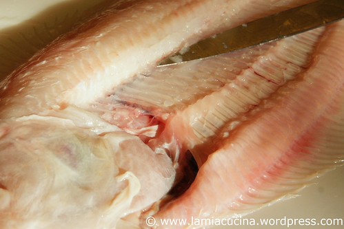 Filet de Sole Fernand Point 1_2011 02 11_2276
