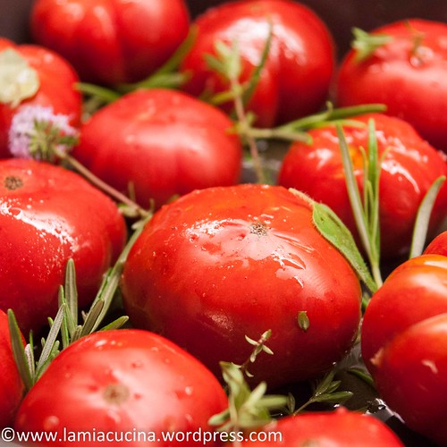 Tomatenspaghetti 2014 06 05_4322