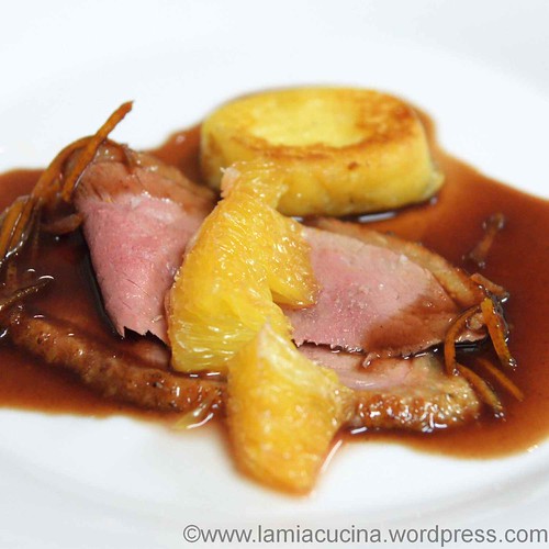 Ente 4_2012 11 24_8808