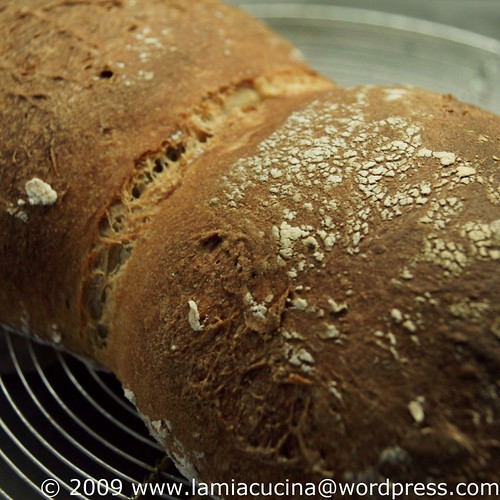 Basler Brot 00_2009 04 15_9525