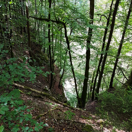 Doubs(17) 20180713_150540