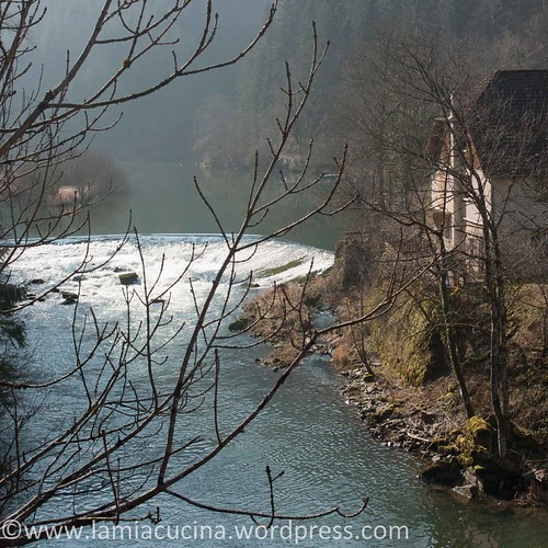 Doubs (1) Biaufond 2014 03 12_3477