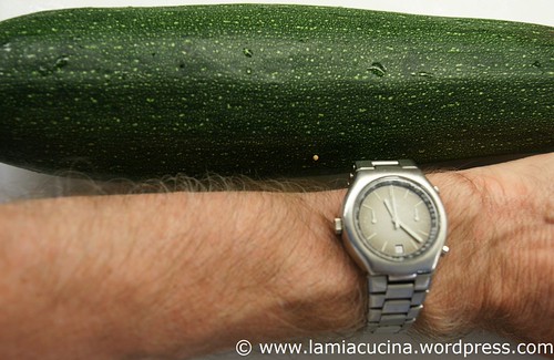 Gebackene Zucchinikeule 1_2010 07 18_8148