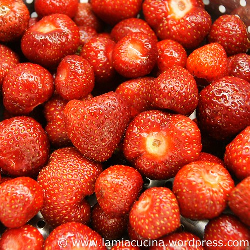 Erdbeersorbet 1_2010 06 11_7517