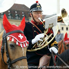Basel Tattoo 2010 4_2010 07 24_8279