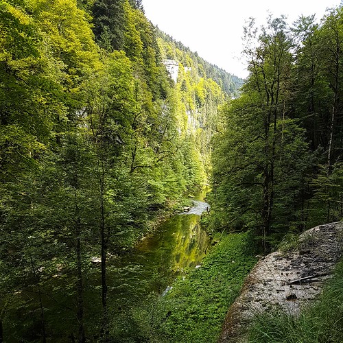 Doubs(18) 20180724_123929