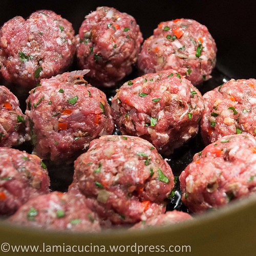 Polpette Speck-Tartufata-Sauce2014 01 14_2859