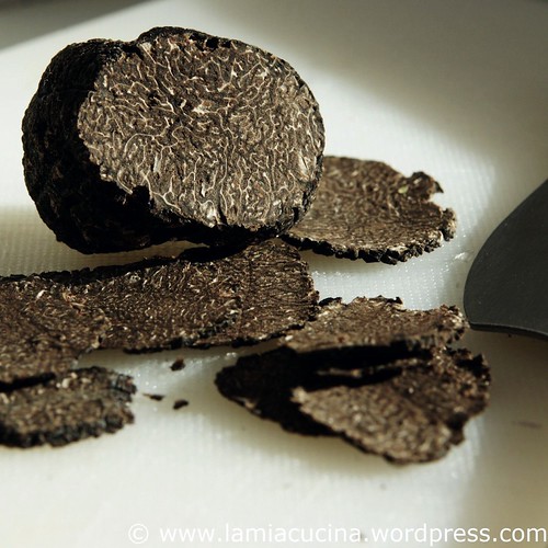 Cardons aux truffes 1_2011 01 15_1682