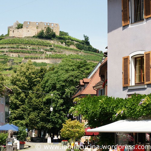 D-79219 Staufen 2_2011 07 12_4877