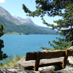 Sils