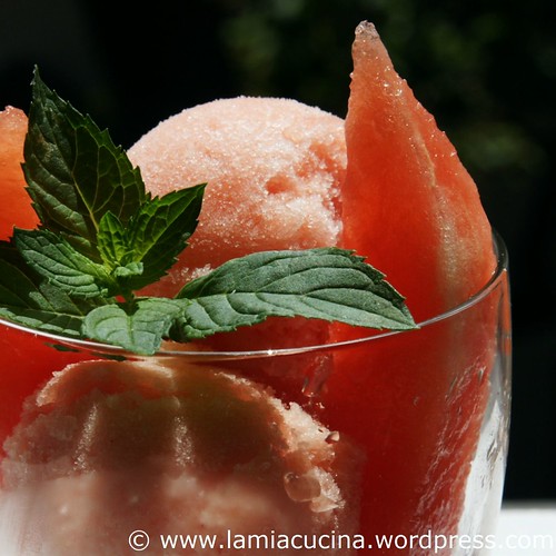 Sorbetto di Anguria 0_2010 07 16_8060