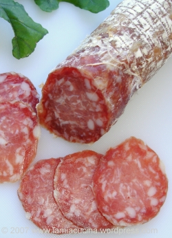 Salami Fagetti