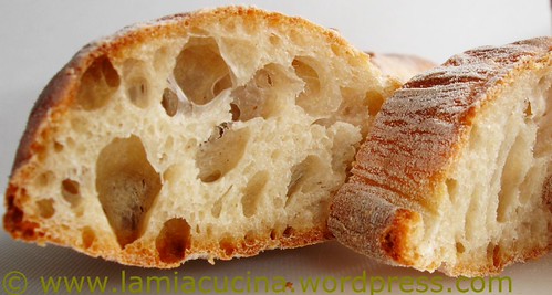Baguette18h0_redc2008_1392