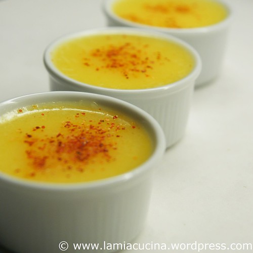 Zitrone-Parmesan-Dip 0_2010 04 24_6477