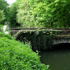 4058Bois2_2008_2201
