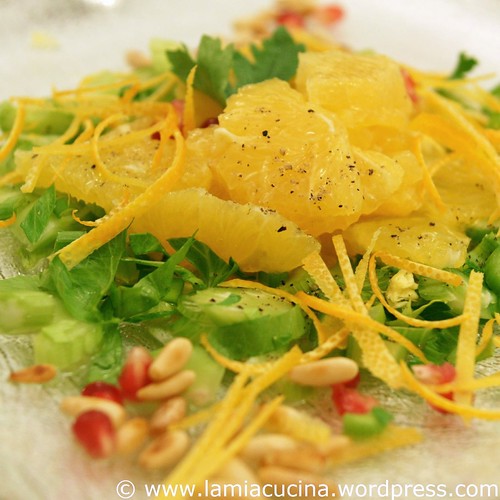 Insalata di sedano 0_2009 11 16_3694