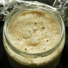 Dinkel-Weizen-Kalt-Warm-Sauer