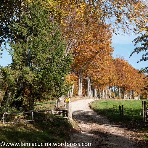 Im Jura 2013 10 22_2054