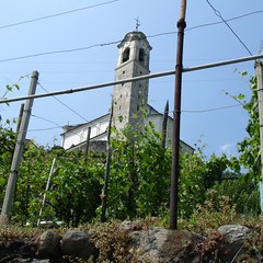 S. Fedele in den Reben