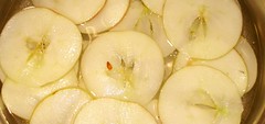apple slices for applechips