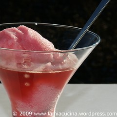 Sorbet mit Campari